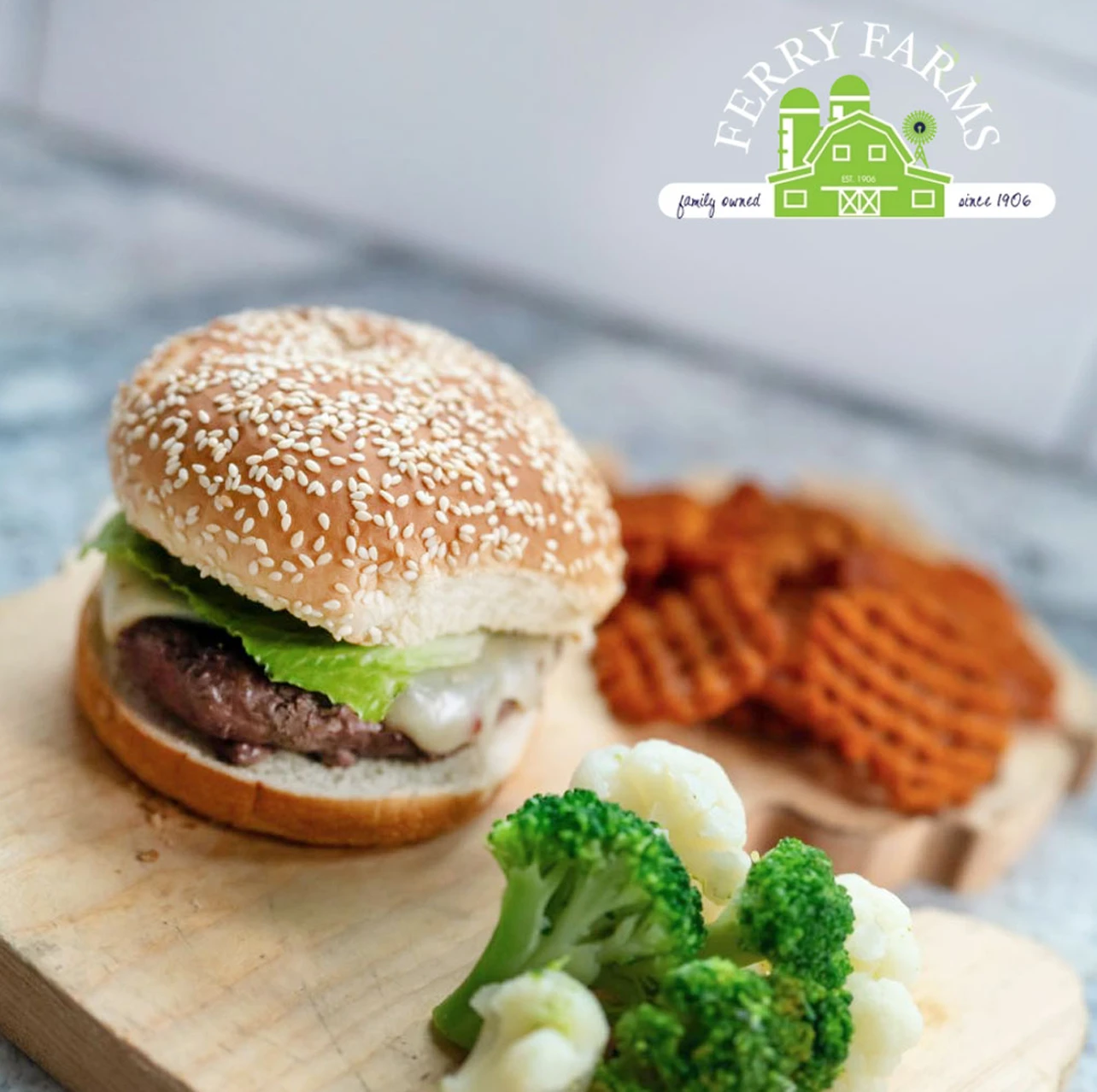 Ferry Farms Cheese Burger Photo